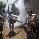 A Nicaraguan health ministry worker fumigates against mosquitoes that carry dengue and chikungunya in Managua.